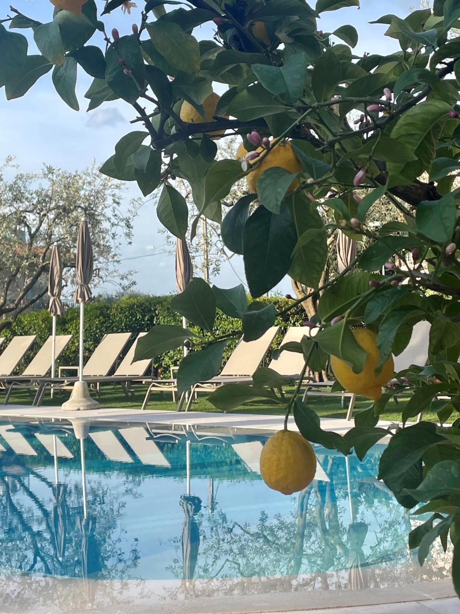 Hotel Al Sole Бардолино Екстериор снимка